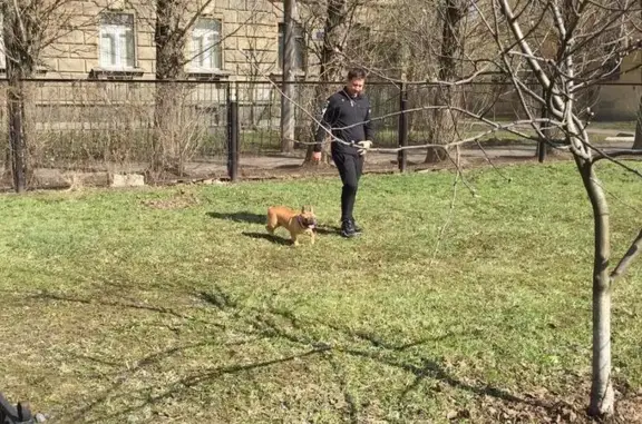 Санкт-Петербургская городская станция по борьбе с болезнями животных, лечебный отдел Фрунзенского района Санкт-Петербурга