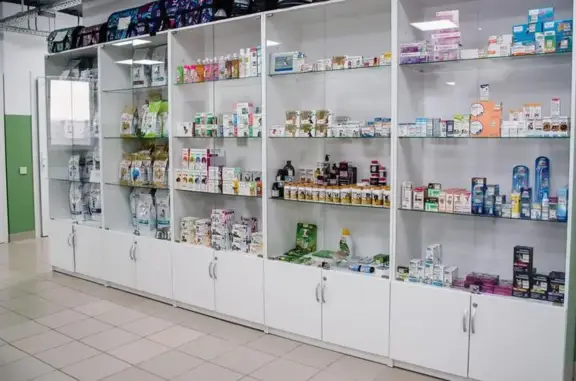 Движение, ветеринарная клиника