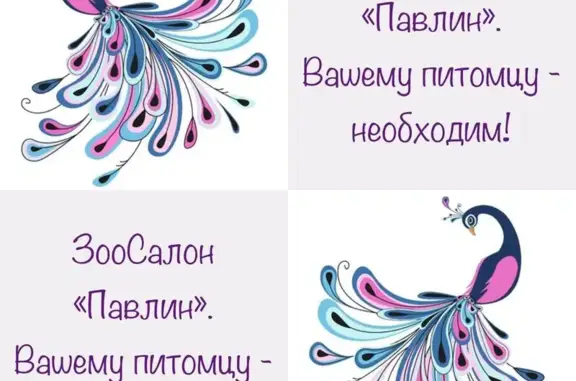 Зоосалон Павлин