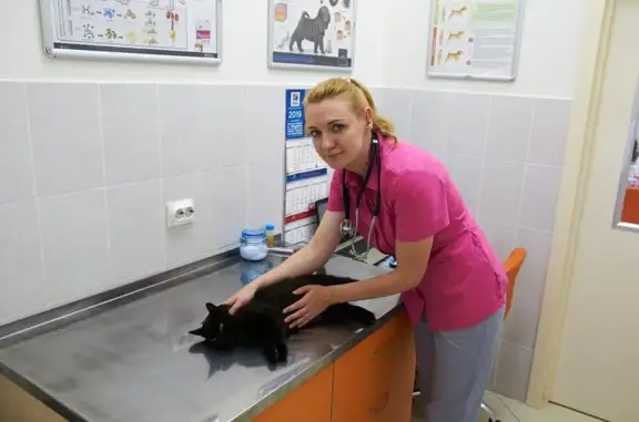 ВотВЕТе, ветеринарный центр