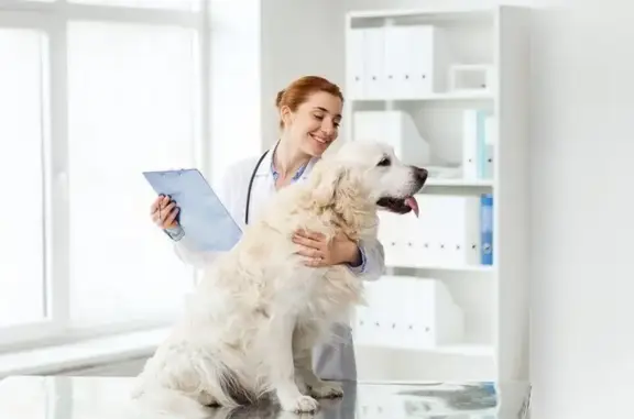 Айболит, ветеринарная клиника