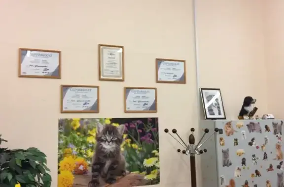 Зоосалон Друг в Красносельском районе