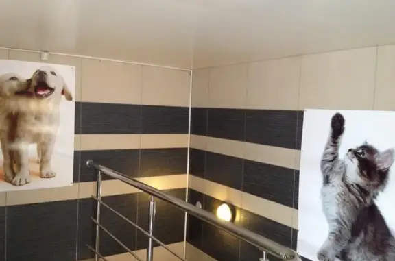 Ветеринарная клиника Гео на проспекте имени В.И. Ленина