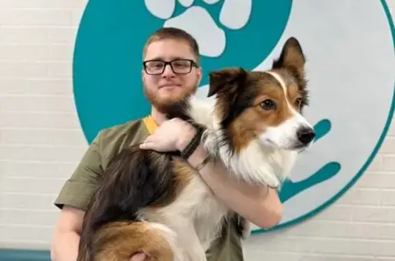 Евровет, многопрофильный клинико-диагностический ветеринарный центр