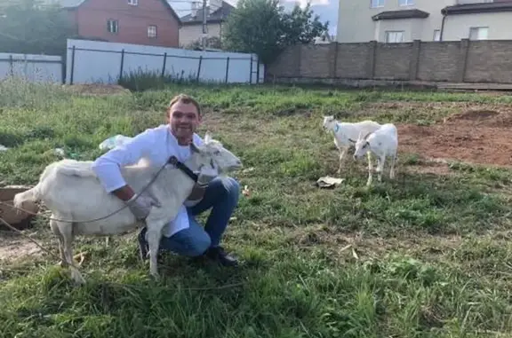 Ветеринарная клиника Айболит на метро Новокосино