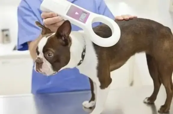 Зоомедик, ветеринарный центр