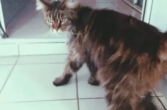 ВетВолга, ветеринарный центр