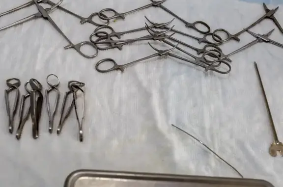 Ветеринар на связи, ветеринарная клиника