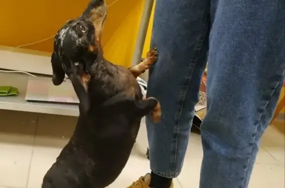 Бион, зооцентр