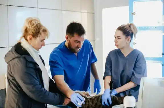 Ветцентр 24 на Пушкинской улице, 1 в Дмитрове