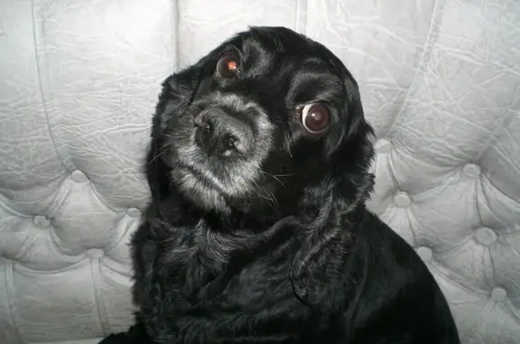 Мими, ветеринарная клиника