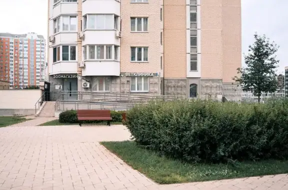 Ветеринарная клиника Василёк на метро Рассказовка