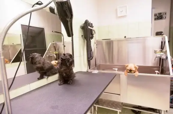 Ветеринарная клиника Ветсоюз на метро Беговая