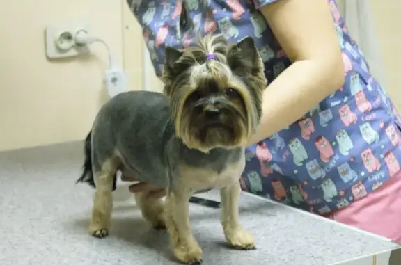 Ветпрофи62, ветеринарная клиника