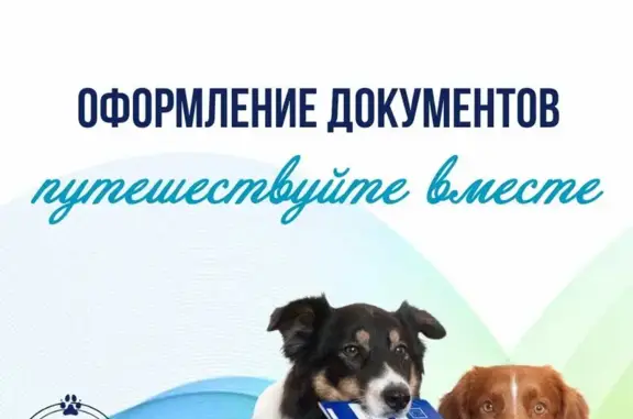 Ветеринарный центр Крошка Енот на метро Адмиралтейская