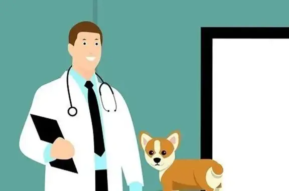 Ветеринарная аптека на улице Красной Армии, 40