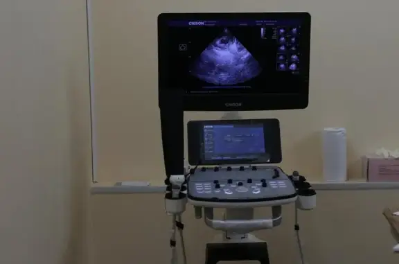 Энималз, ветеринарная клиника