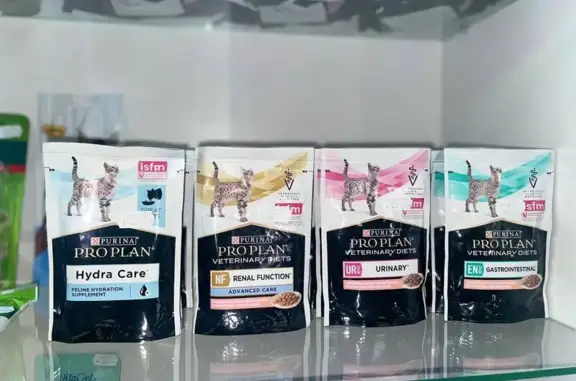 Доктор Хвост, ветеринарная клиника