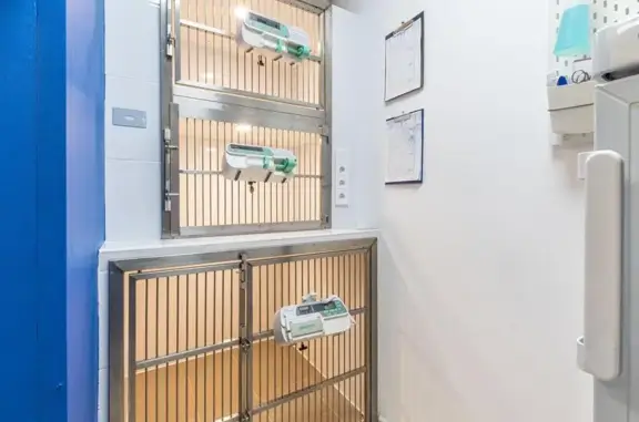 Вет парк, ветеринарная клиника