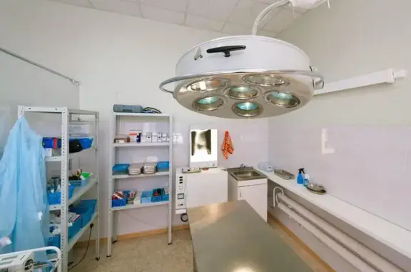 Ветдоктор, ветеринарная клиника