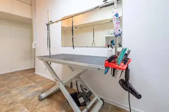 Зоосалон V-groom