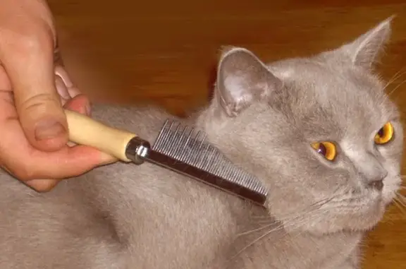 Друг, ветеринарный центр