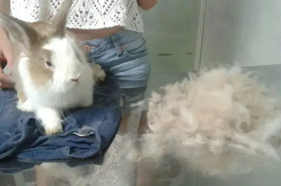 Ветеринарная клиника Ветхаус