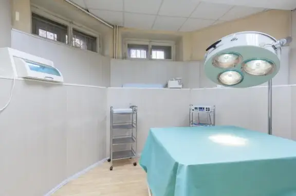 Алиса, ветеринарная клиника