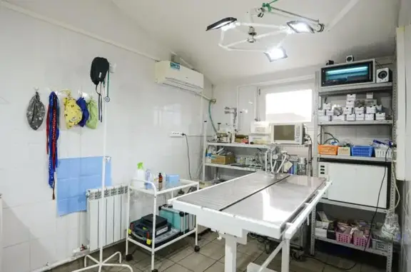 Бонифаций, ветеринарный центр