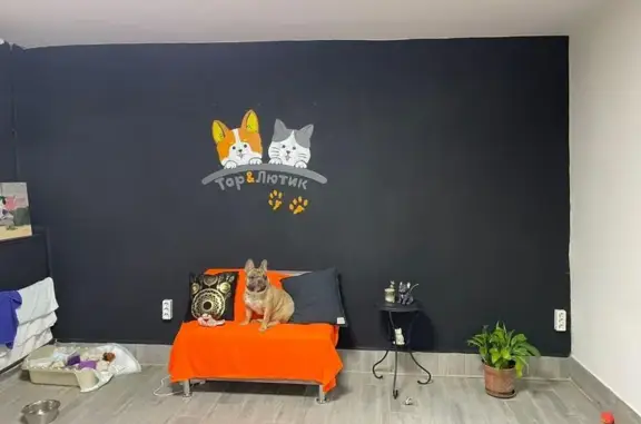 Груминг-салон Тор&Лютик на Гражданской улице, 2/4