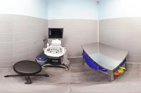 Vetstate, ветеринарная поликлиника