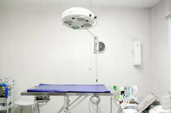 Ваш ветеринар, ветеринарная клиника