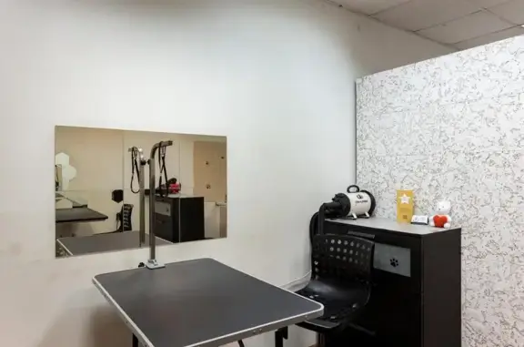 Зоосалон Люси