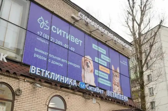 Ситивет, ветеринарный центр