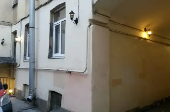 4Cats на Мытнинской улице