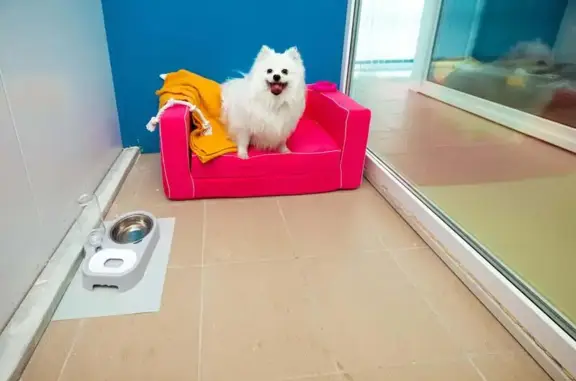 Зоогостиница Tommy