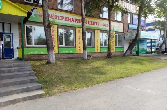 Доктор Vet, ветеринарная клиника