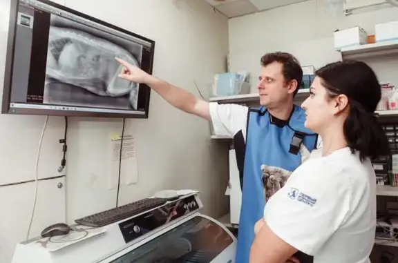 Ветеринарная клиника Дженк на Бирюлёвской улице