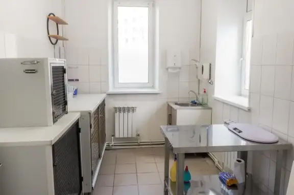 Зоопульс, ветеринарная клиника