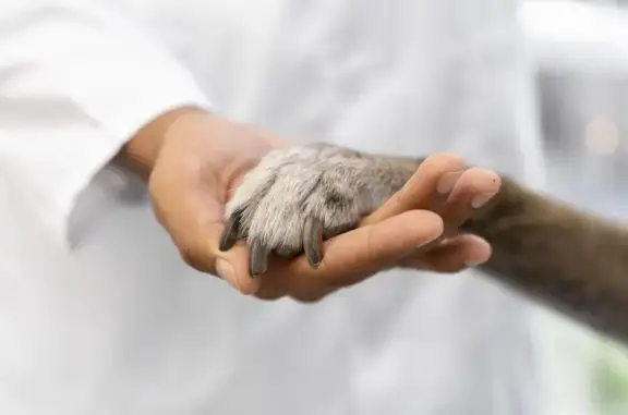 Ветеринарный центр доктора Котова на Парашютной улице, 81 к 1