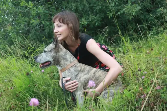 Зоомагазин Теремок на Новокаменской улице