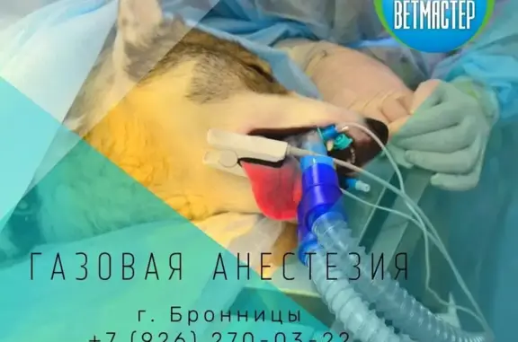 Ветмастер, ветеринарный центр