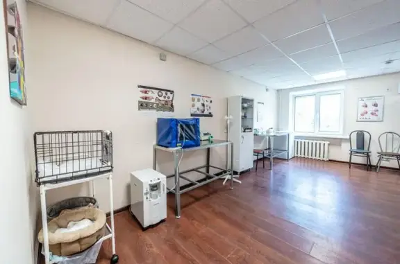 Пушистики, ветеринарная клиника