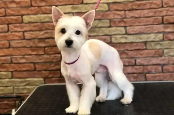 Центр по уходу за животными Зоомолл