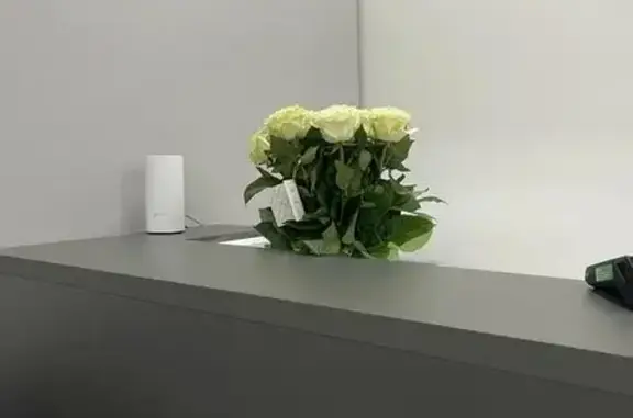 Ветеринарная клиника Барс на Коммунистической улице