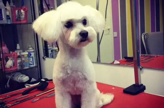 Зоосалон Зоостиль на Кутузовском проспекте