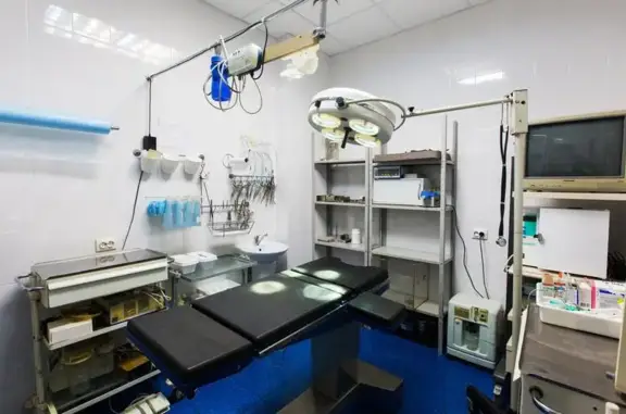 Наш добрый доктор, ветеринарная клиника