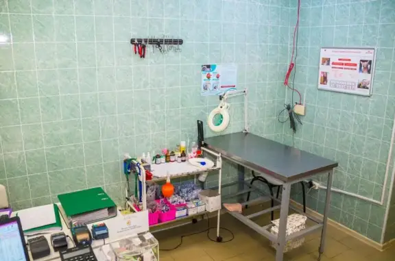 Ветеринарная клиника Био-Вет на метро Первомайская