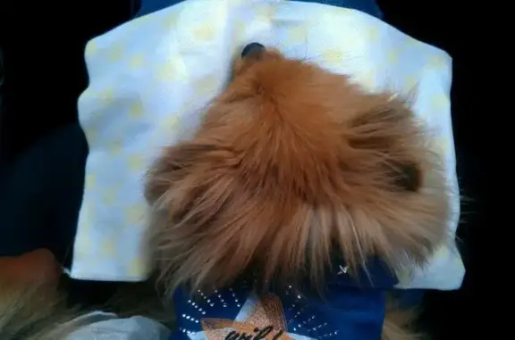 ВетаКлиник, ветеринарная клиника