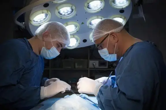 Центр ветеринарной медицины Клык+ на бульваре Гагарина